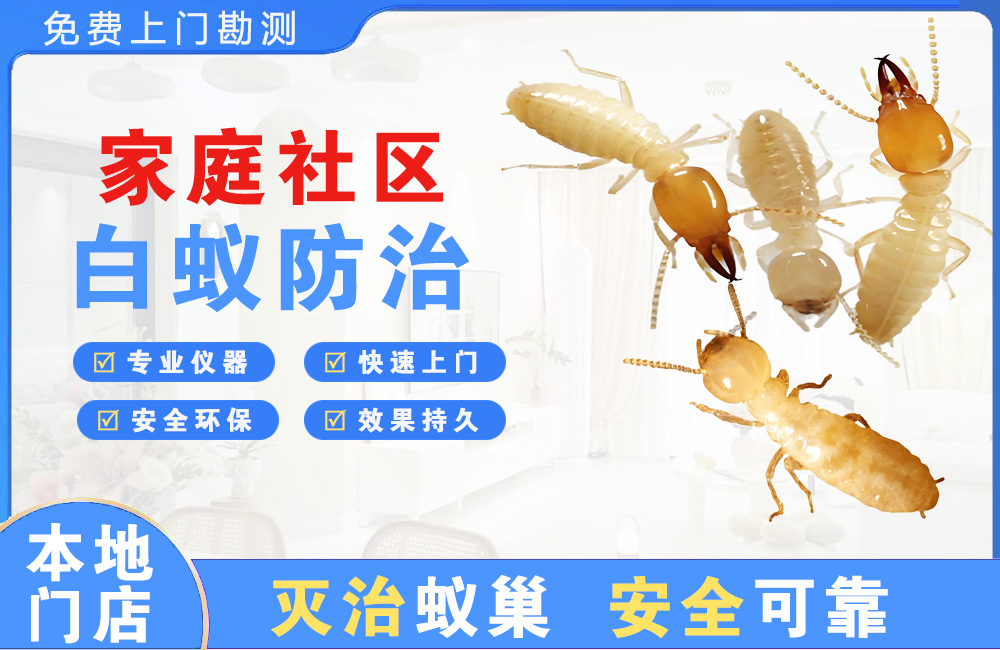 武义县家庭社区白蚁防治