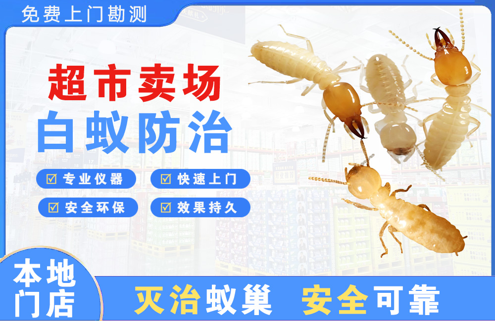 武义县超市卖场白蚁防治