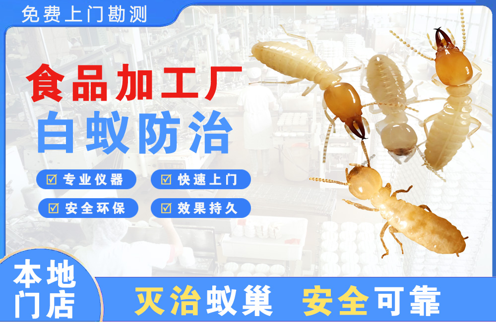武义县食品加工厂白蚁防治