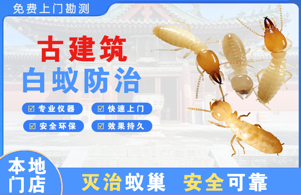 武义县古建筑白蚁防治