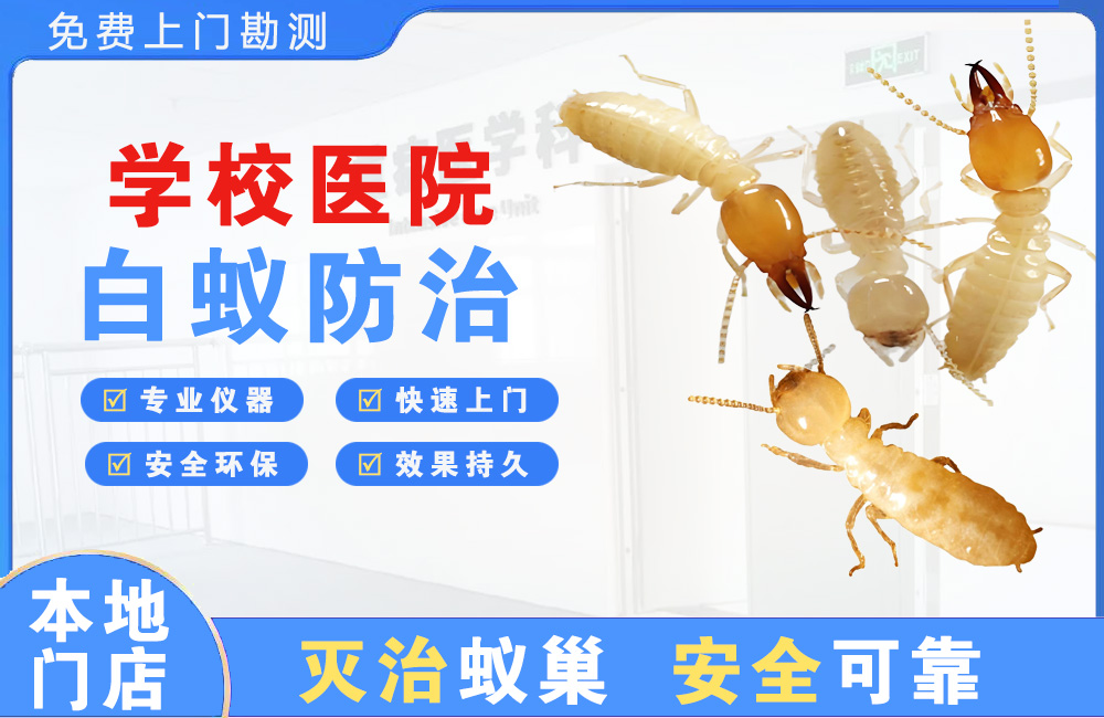 武义县学校医院白蚁防治